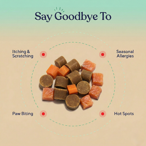 Allergy & Immune Support Chews - Anti-Itch, Skin and Seasonal Relief for Dogs