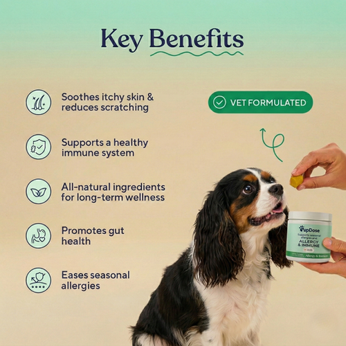 Allergy & Immune Support Chews - Anti-Itch, Skin and Seasonal Relief for Dogs